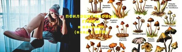 гашик Магадан