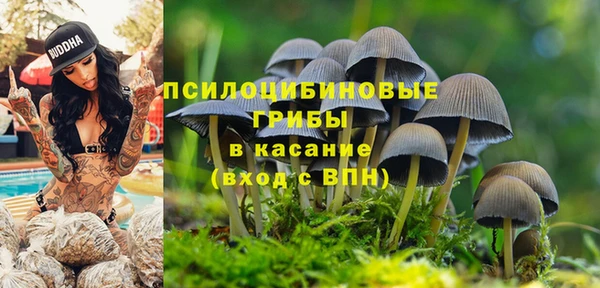 соль ск Медногорск