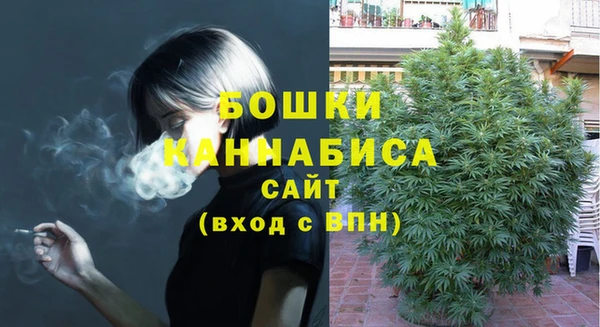 дмт Магас