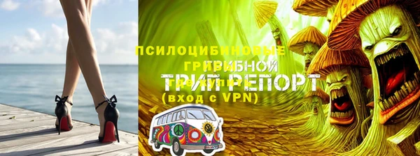 молекула духа Ачинск