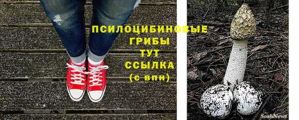 дмт Магас