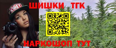 прущие грибы Кингисепп