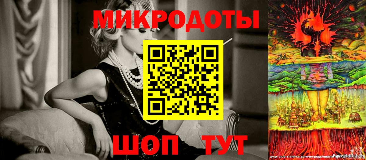 Галлюциногенные грибы Psilocybe Биробиджан