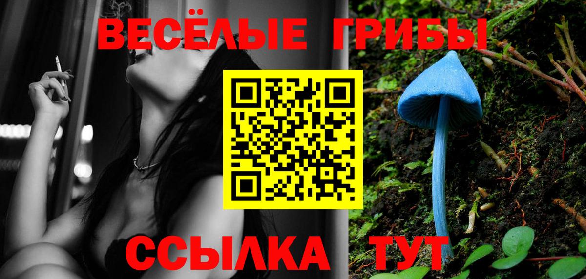 Псилоцибиновые грибы Psilocybe Биробиджан