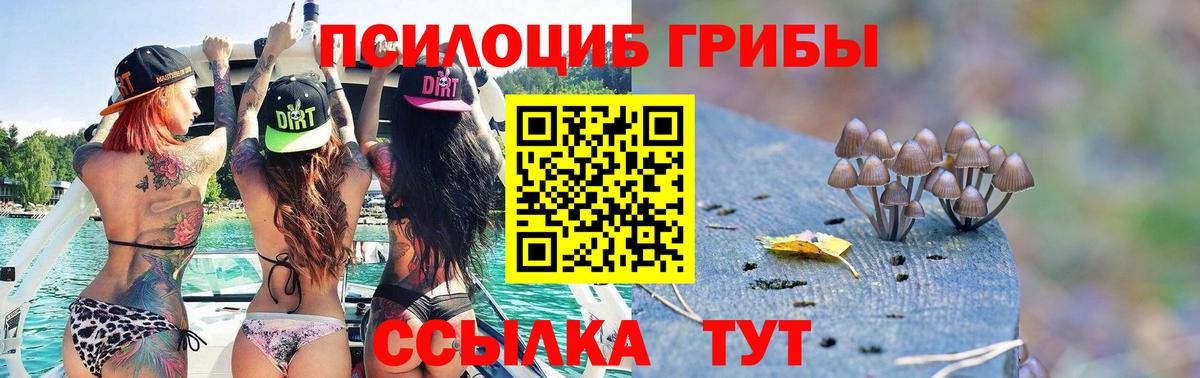 Биробиджан  Псилоцибиновые грибы прущие грибы  Вход с VPN 
